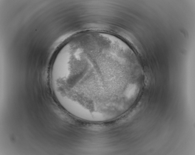 X0000113591074200910091455