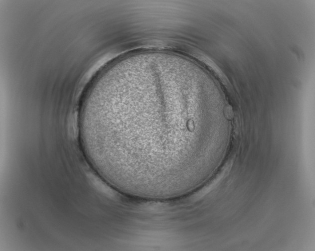 X0000113591075200910091454