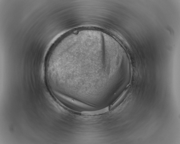 X0000113591076200910091454