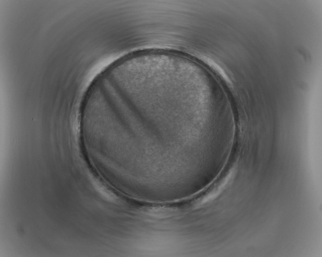 X0000113591077200910091454