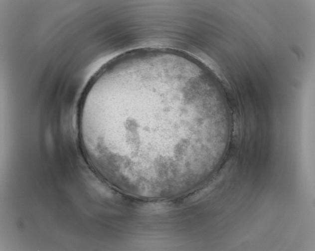 X0000113591078200910091454