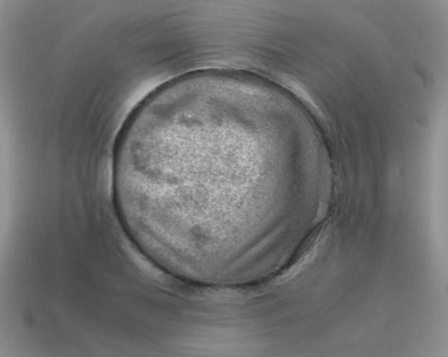 X0000113591079200910091454