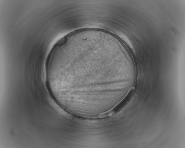 X0000113591080200910091454