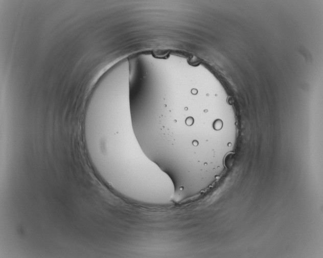 X0000113591081200910091454