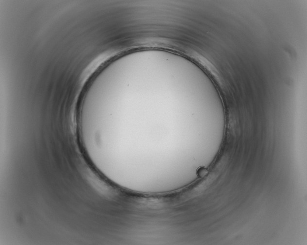 X0000113591082200910091454