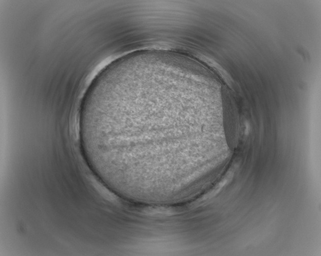 X0000113591083200910091454