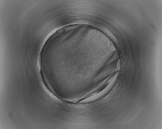 X0000113591084200910091454