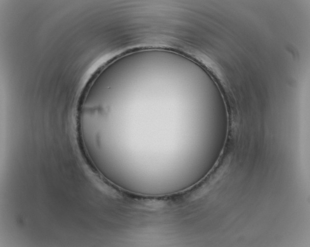 X0000113591085200910091454