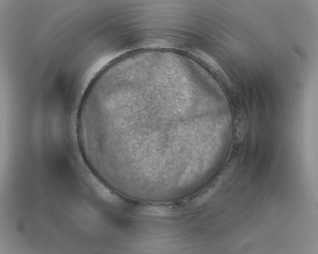 X0000113591086200910091454