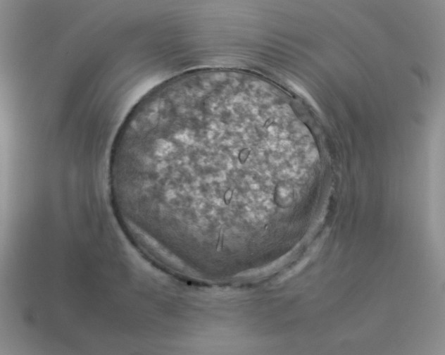 X0000113591087200910091454