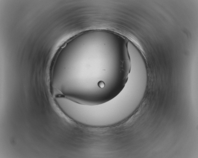 X0000113591088200910091454