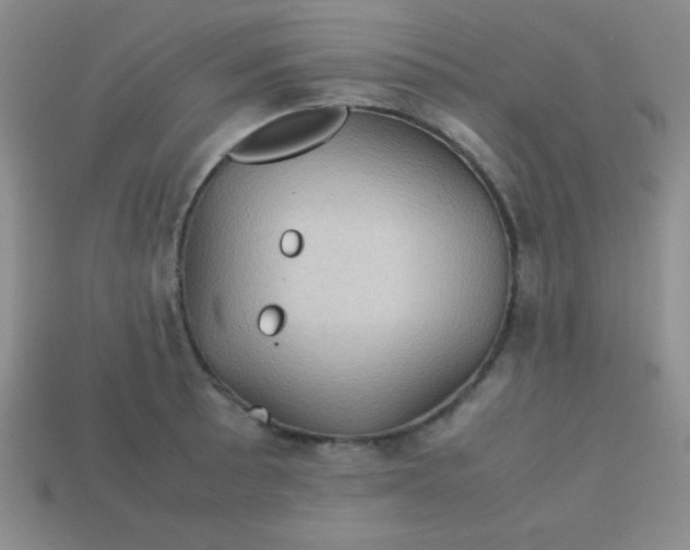 X0000113591089200910091454