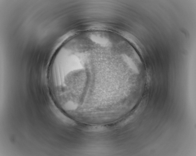 X0000113591090200910091454