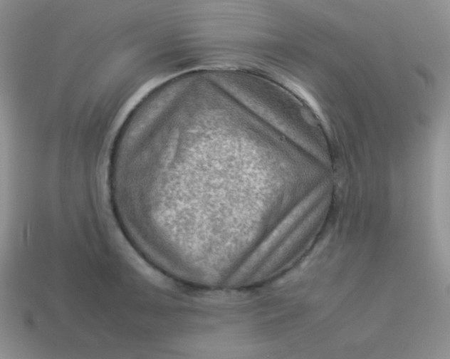 X0000113591091200910091454