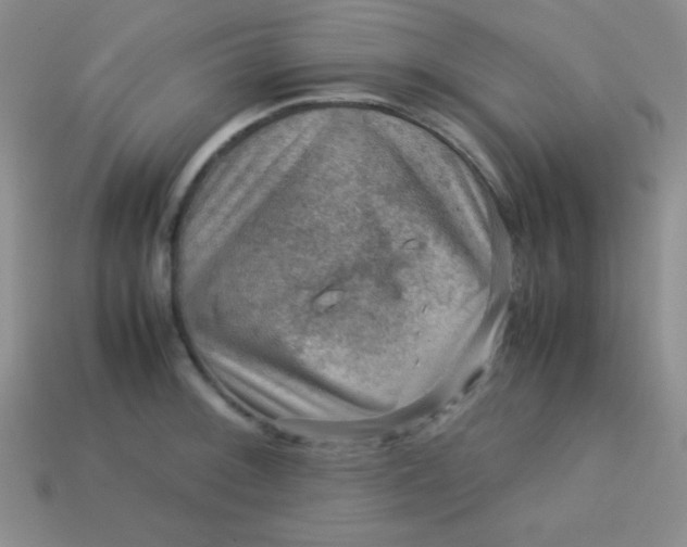 X0000113591092200910091454