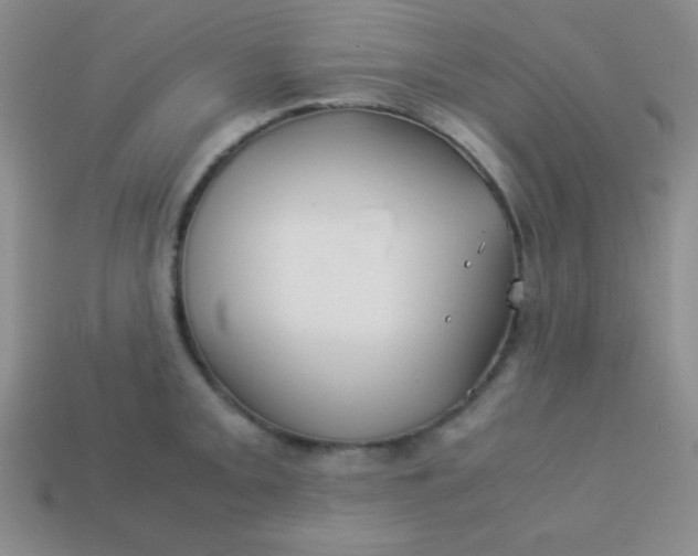 X0000113591093200910091454