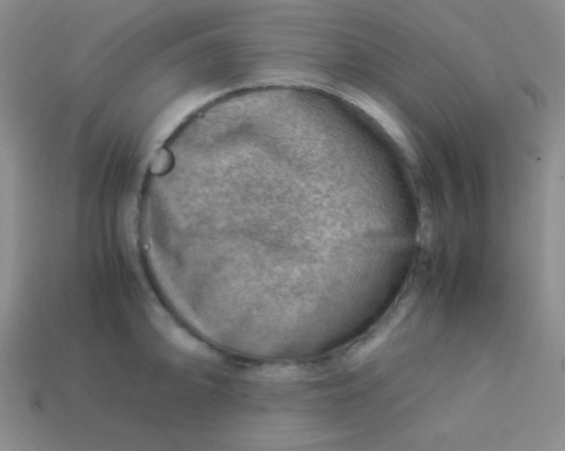 X0000113591094200910091454