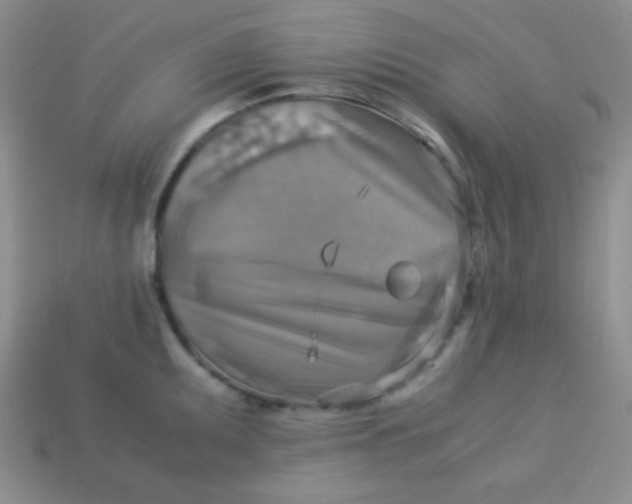 X0000113591095200910091454