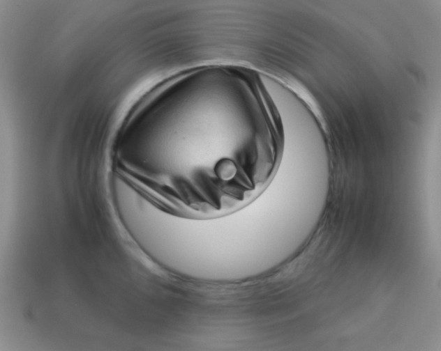 X0000113591096200910091454