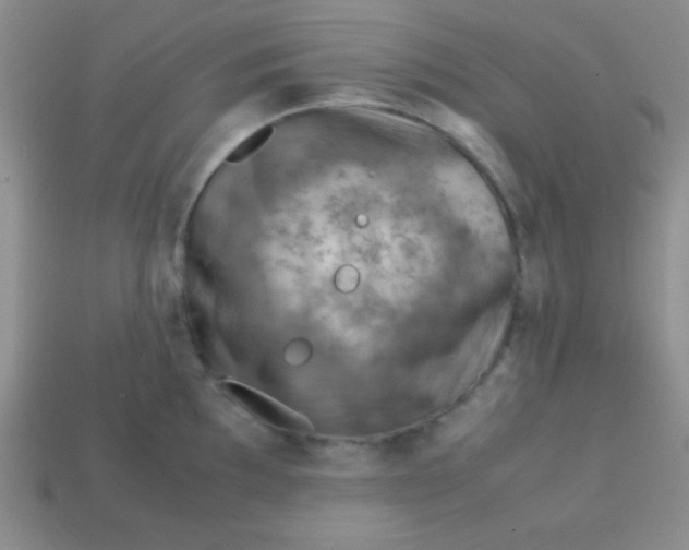 X0000113591097200910091454