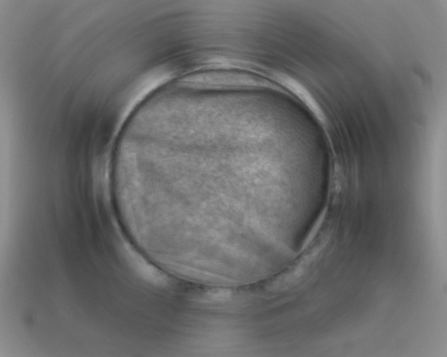 X0000113591098200910091454