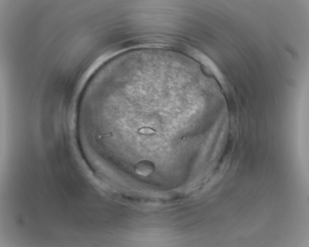 X0000113591099200910091454