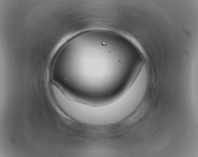 X0000113591101200910091454