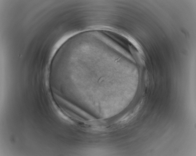 X0000113591102200910091454