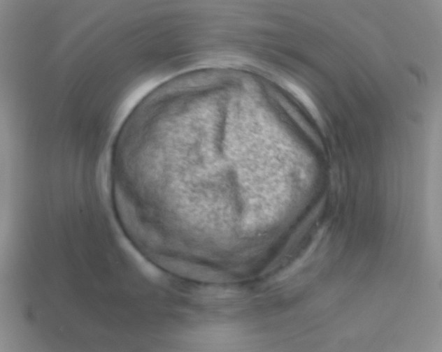 X0000113591103200910091454