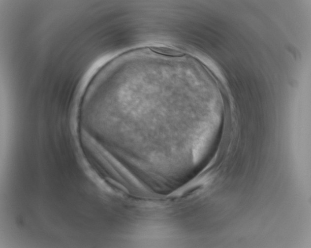 X0000113591104200910091454