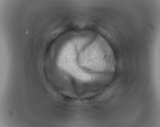 X0000113591105200910091454