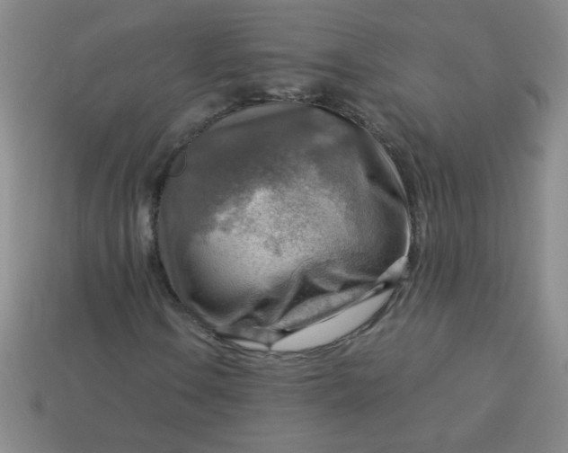 X0000113591106200910091454