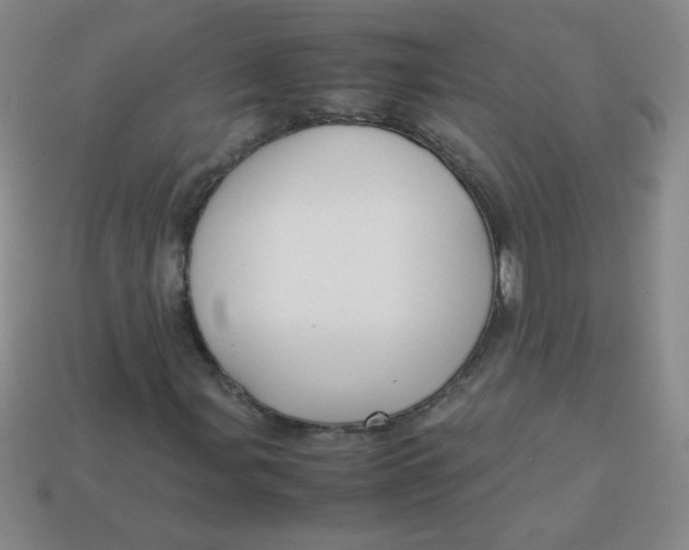 X0000113591107200910091454