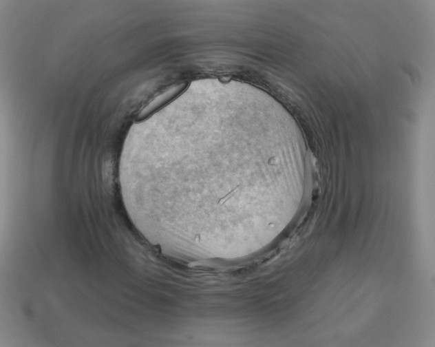 X0000113591108200910091454