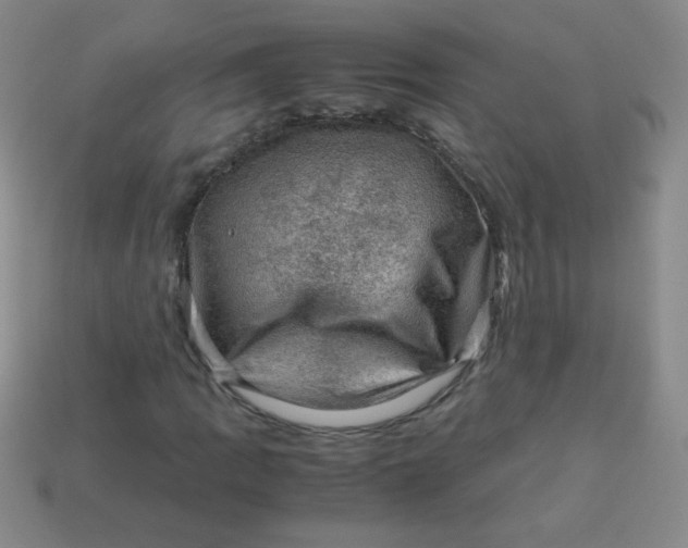 X0000113591109200910091454