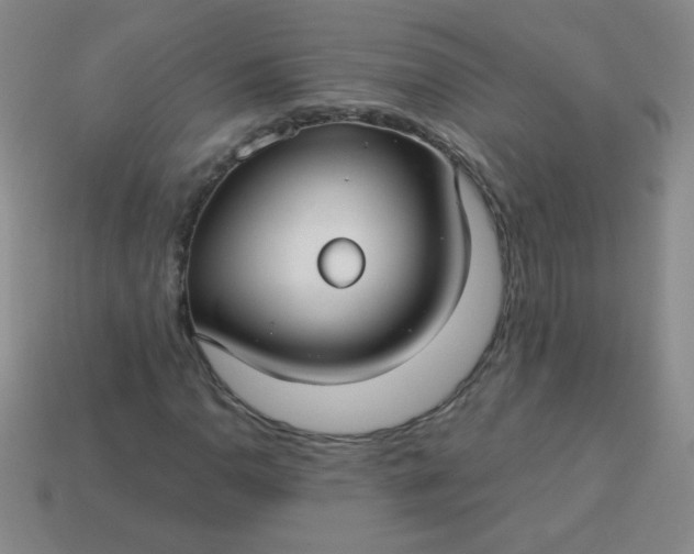 X0000113591110200910091454