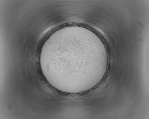 X0000113591112200910091454