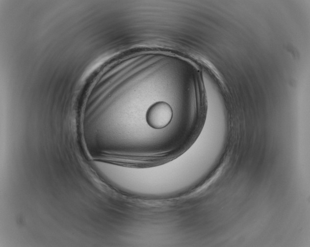 X0000113591114200910091454