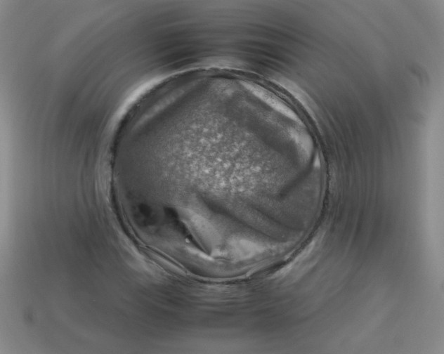 X0000113591115200910091454