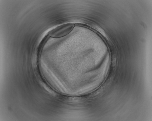 X0000113591116200910091454