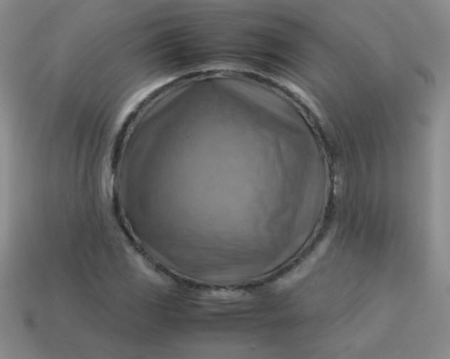 X0000113591117200910091454