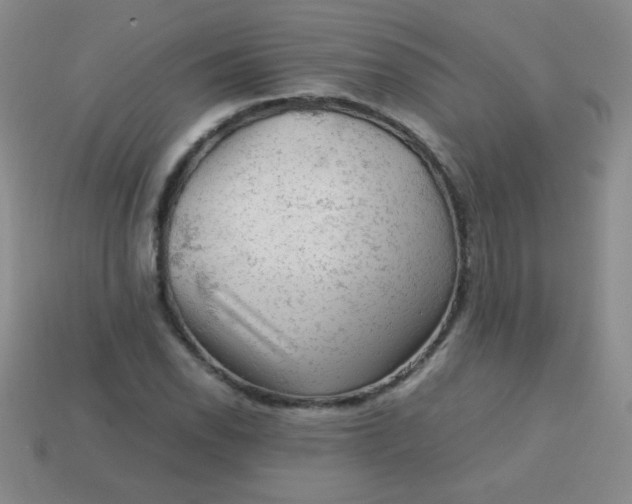 X0000113591118200910091454