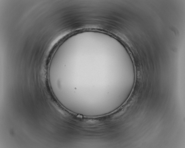 X0000113591119200910091454