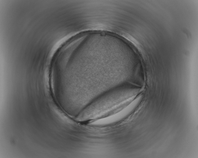 X0000113591120200910091454