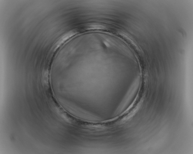 X0000113591121200910091454