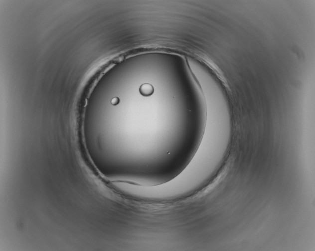 X0000113591122200910091454