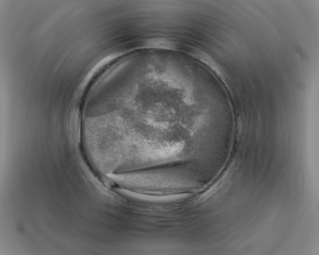 X0000113591123200910091454