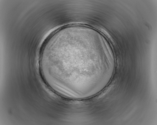 X0000113591124200910091454