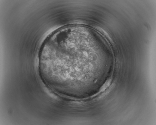 X0000113591125200910091454