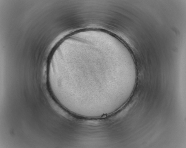 X0000113591126200910091454